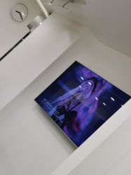 -YESIDO椰岛造型