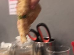 -老卜奎齐齐哈尔烤肉(人民东路店)