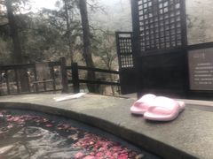 -宁海森林温泉