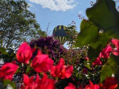 -中国科学院西双版纳热带植物园