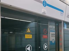 -大龙山(地铁站)