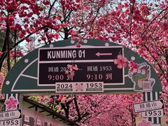-昆明动物园