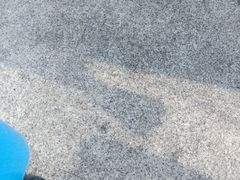 -世博源公馆·本帮融合菜·主题包厢·江景餐厅