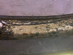 -金水养生(华新店)