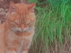 -终南山南五台景区