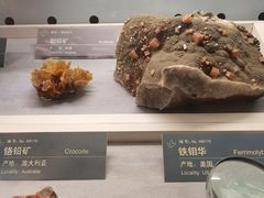 -中国地质博物馆