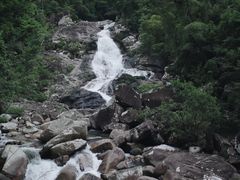 -海南热带雨林国家公园吊罗山景区