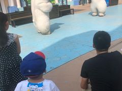 -芜湖新华联大白鲸海洋公园