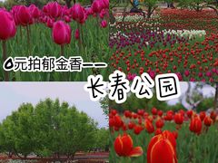 -长春公园(普阳街道)