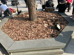 -龙华素斋(龙华路店)