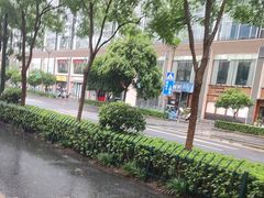 -杨氏青龙虾·羊蝎子(珠江路店)