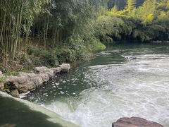 -杭州植物园