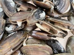 -吴川然味美食·地道湛江吴川菜