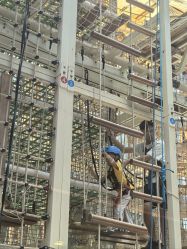 -PIPIKINGDOM皮皮王国欢乐号(欢乐海岸购物中心店)