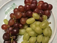 -新粤新疆菜(禅城店)