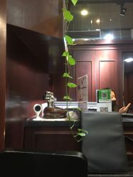 -Amber Salon艾珀沙龙