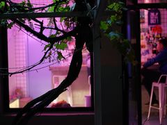 -ZING鲸鱼啤酒(葡萄院店)