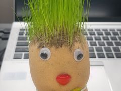 -棒棒鸡传奇(解放路店)