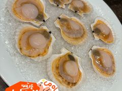 -皇城老妈·大连海鲜火锅(港湾店)