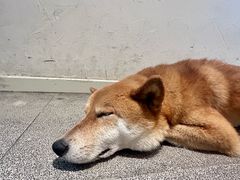 -三目仓咖啡(贤南路店)