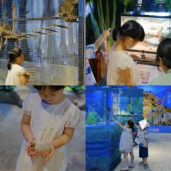 -酷嗒动物文化乐园(cutezoo西溪乐天城店)