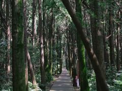 -同里国家湿地公园