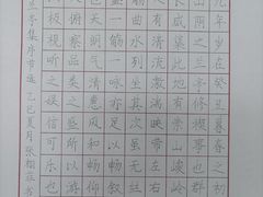 -赵汝飞练字硬笔书法(静安寺校区)