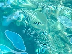 -三亚西岛海洋文化旅游区