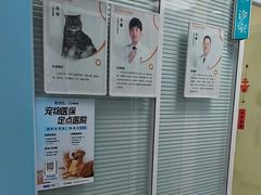 -全心全意连锁动物医院·微创中心·内科急重症·心脏专科(丰管路店)