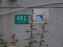 -金泽古镇