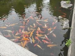 -梅园