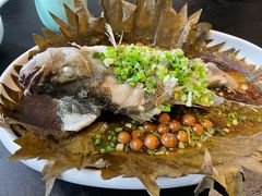 -梧桐花园餐厅(新城店)