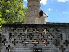 -大槐树寻根祭祖园