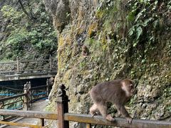 -峨眉山风景名胜区