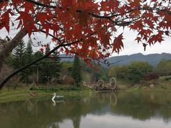-田野绿世界