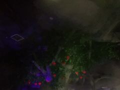 -御泉湾养生汤泉
