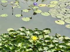 -国家植物园南园