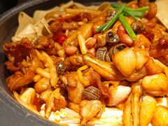 辛酸螺狮蛙-蛙小侠(五象万象汇店)