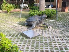-广东惠东海龟国家级自然保护区