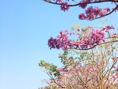 -广州市紫泥堂文化创意园景区