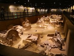 -洛阳周王城天子驾六博物馆