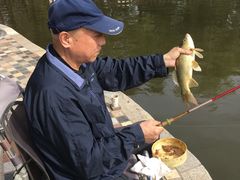 -酷鱼垂钓CLUB(朝阳区博大路店 )