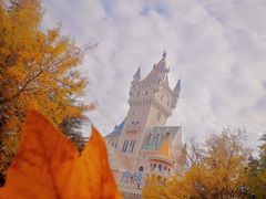 -青岛方特梦幻王国