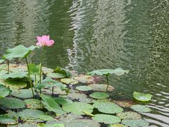 -西北湖绿化广场