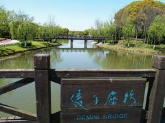 -上海鲜花港