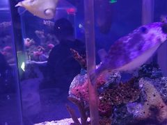 -太平洋海底世界