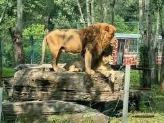 -秦皇岛野生动物园