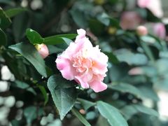 -福州长乐国际机场
