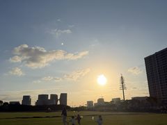 -春花秋色城市公园