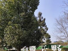 -白鹭湾湿地公园